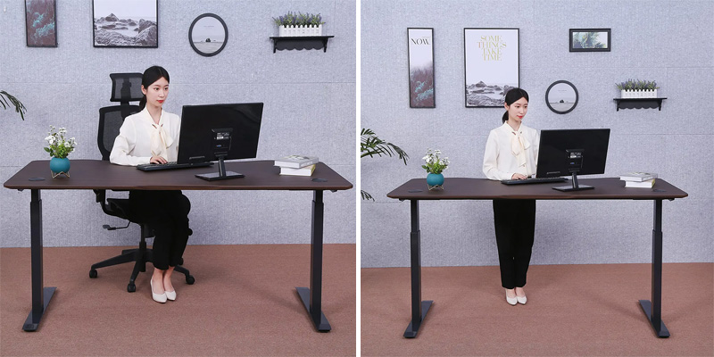 Detailed review of ApexDesk AX7133AW Electric Height Adjustable - Bestadvisor